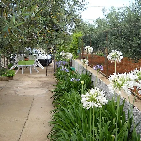 Bed & Breakfast Santa Teresa