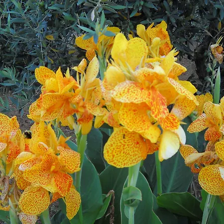 Santa Teresa 3* Castelvetrano