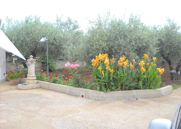 Bed & Breakfast Santa Teresa